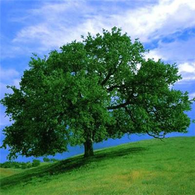 南宫28ng娱乐下载手机版