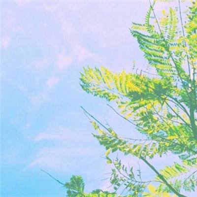 火狐电竞app下载截图